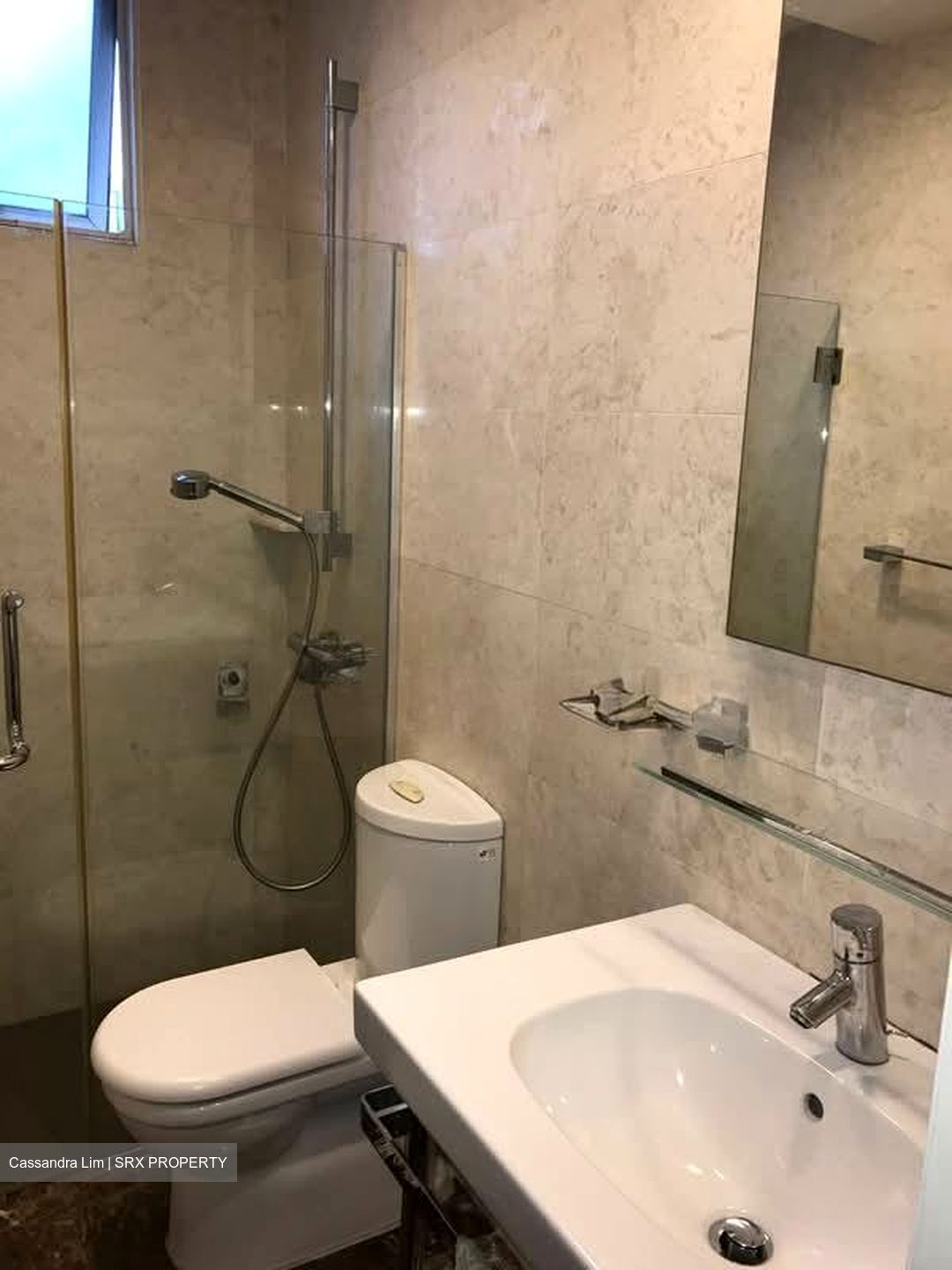 Jervois Lodge (D10), Condominium #566763631